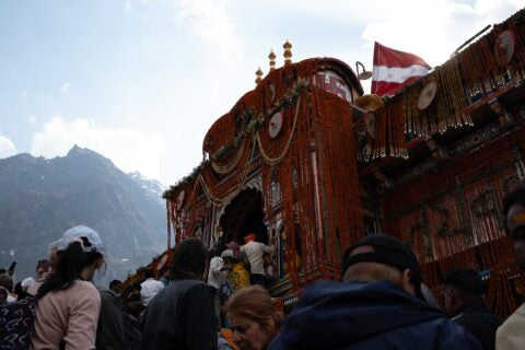 Image 3
